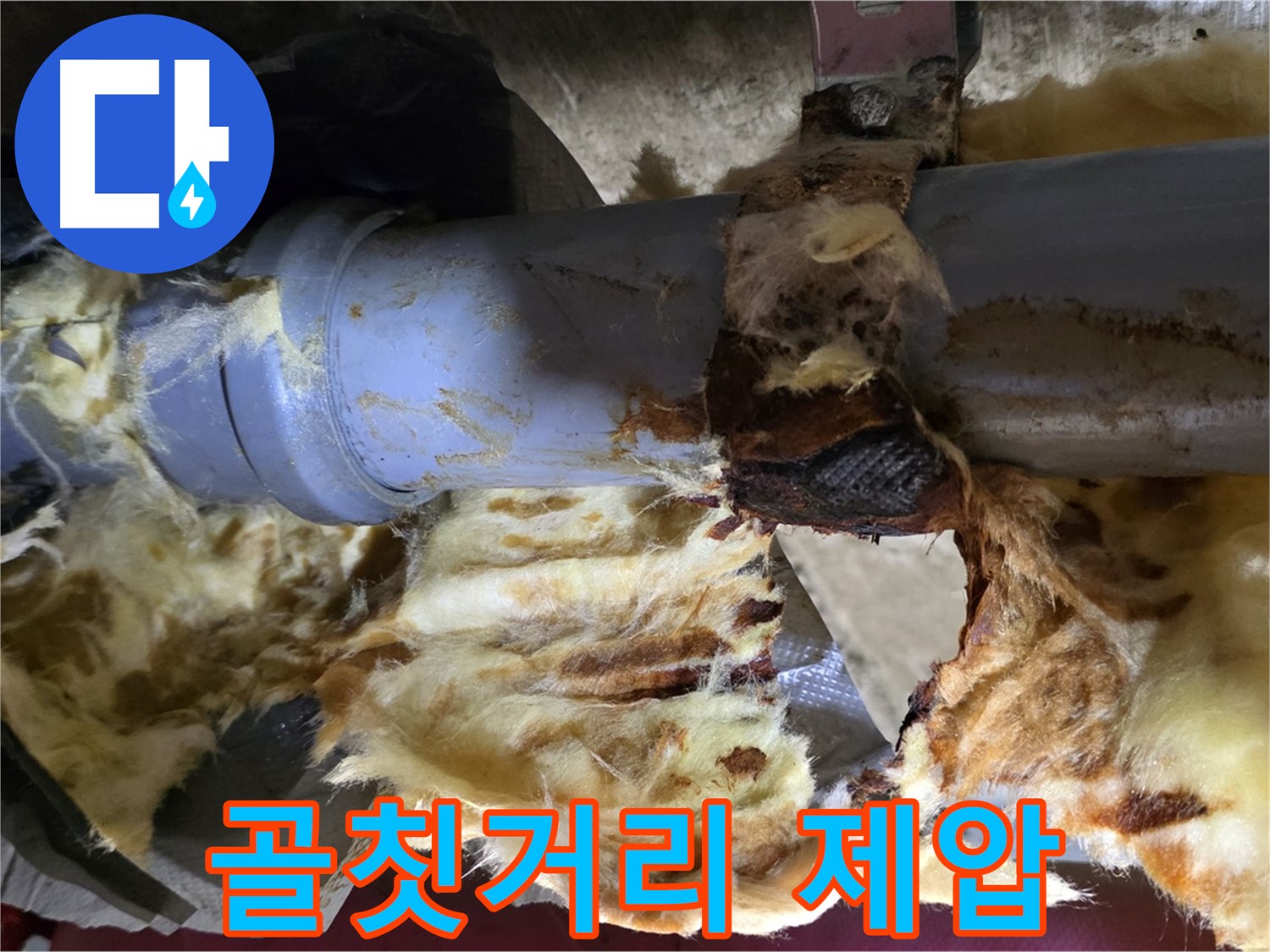 두산아파트 누수 - 낡은 배관, 곰팡이, 젖은 단열재 3가지 골칫거리를 완전 제압했습니다.