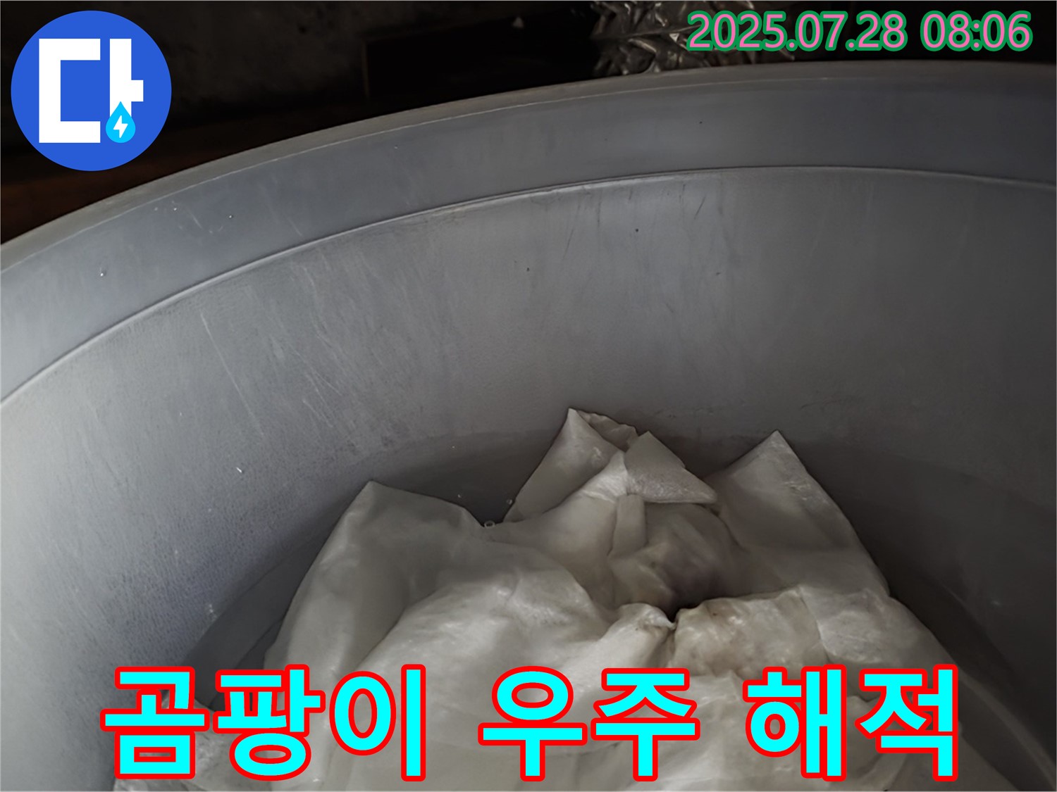 빗물 누수 - 양동이 속 젖은 휴지, 곰팡이 왕국 우주 해적단 결성 준비! 이제 전문가가 결성을 막습니다.