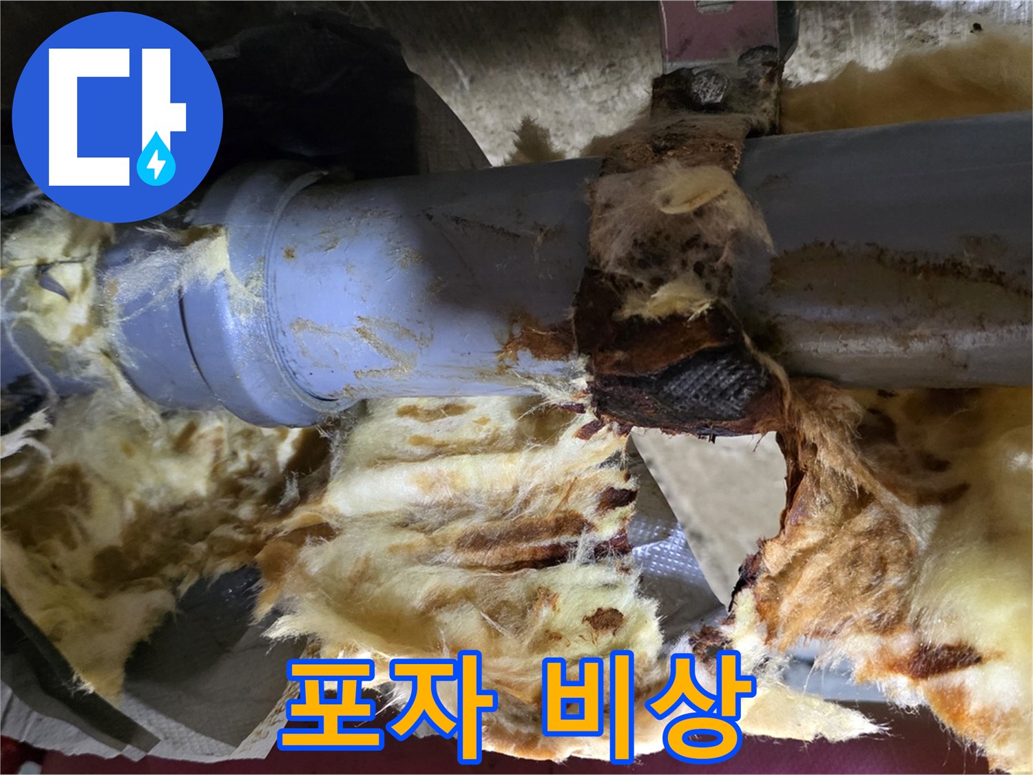 화도읍 두산아파트 누수 - 배관 연결 부위에서 누수가 발생하여 곰팡이 포자가 확산될 위험이 있습니다.