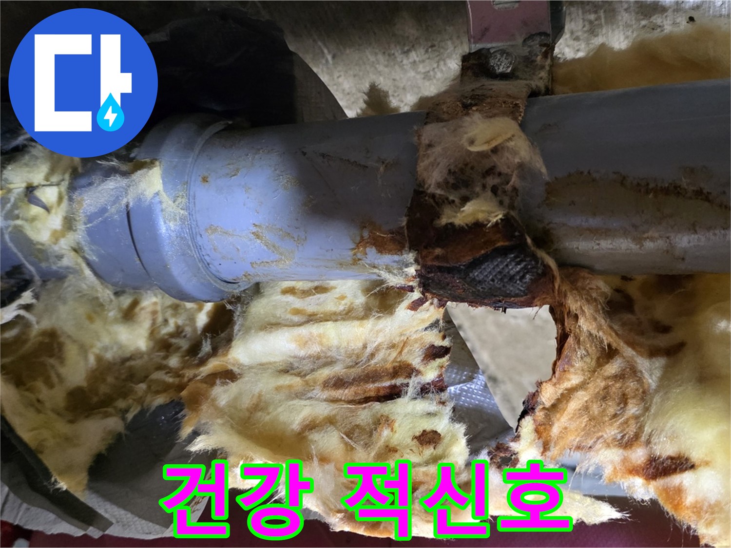 화도읍 두산아파트 누수 - 배관 연결 부위에서 누수가 발생하여 곰팡이가 피어 건강을 위협하고 있습니다.