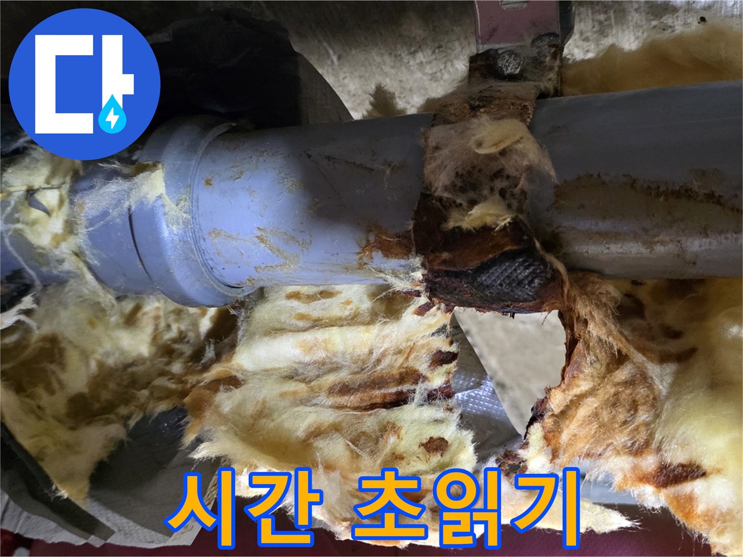 화도읍 두산아파트 누수 - 배관 연결 부위에서 누수가 발생하여 주변에 곰팡이 폭탄이 시간 초읽기에 들어갔습니다.