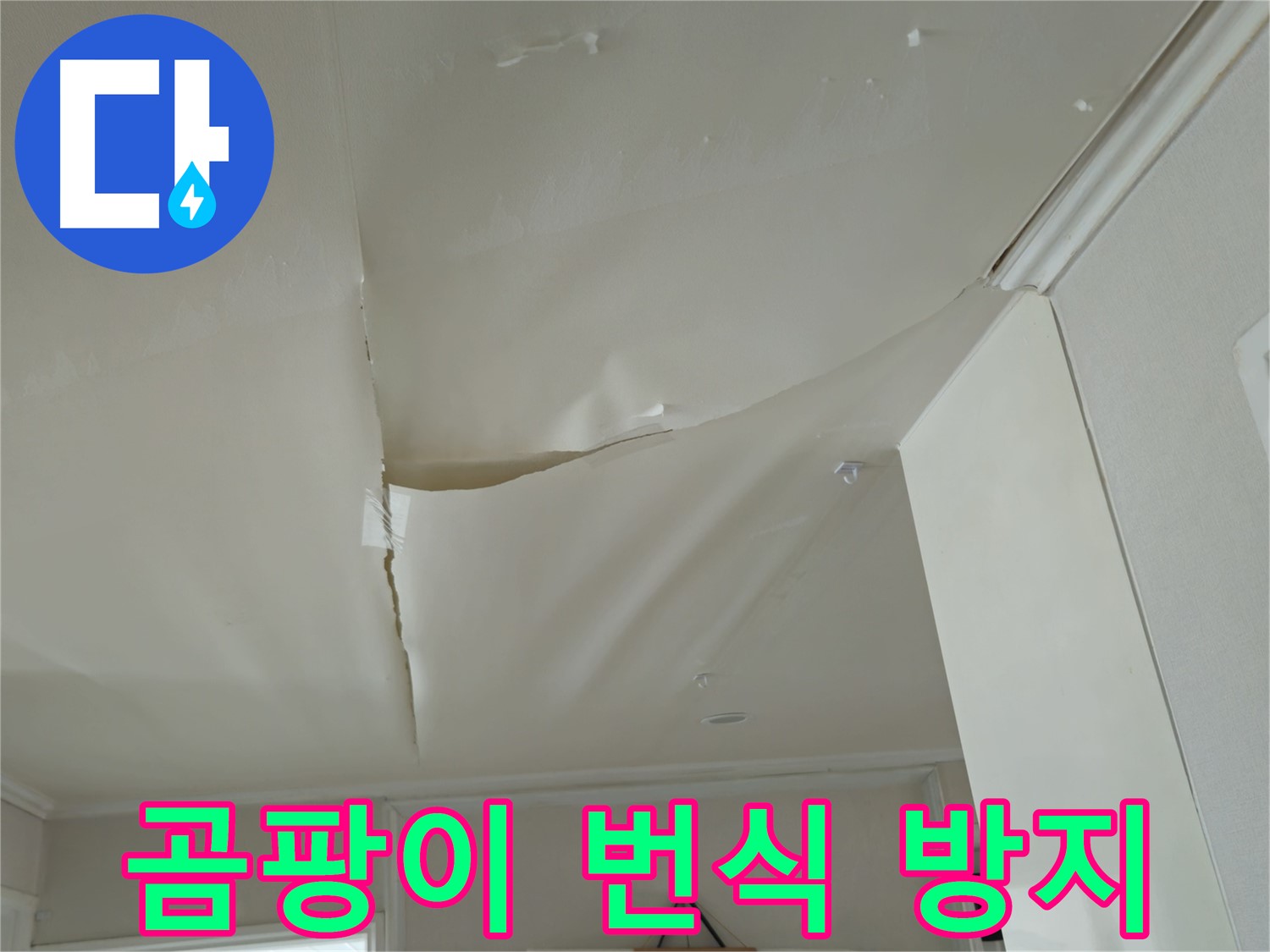 화도읍 두산아파트 천장 누수 - 곰팡이 번식 막는 꿀팁