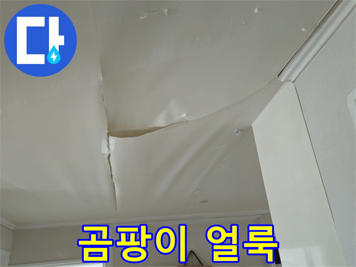 화도읍 창현리 두산아파트 천장 누수 - 곰팡이 얼룩, 가족 건강 위협!