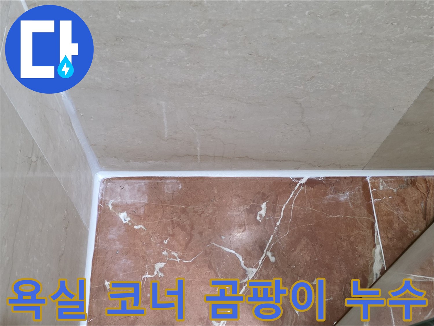 욕실 코너 곰팡이 누수 - 곰팡이 제거와 방수 시공으로 쾌적한 욕실!