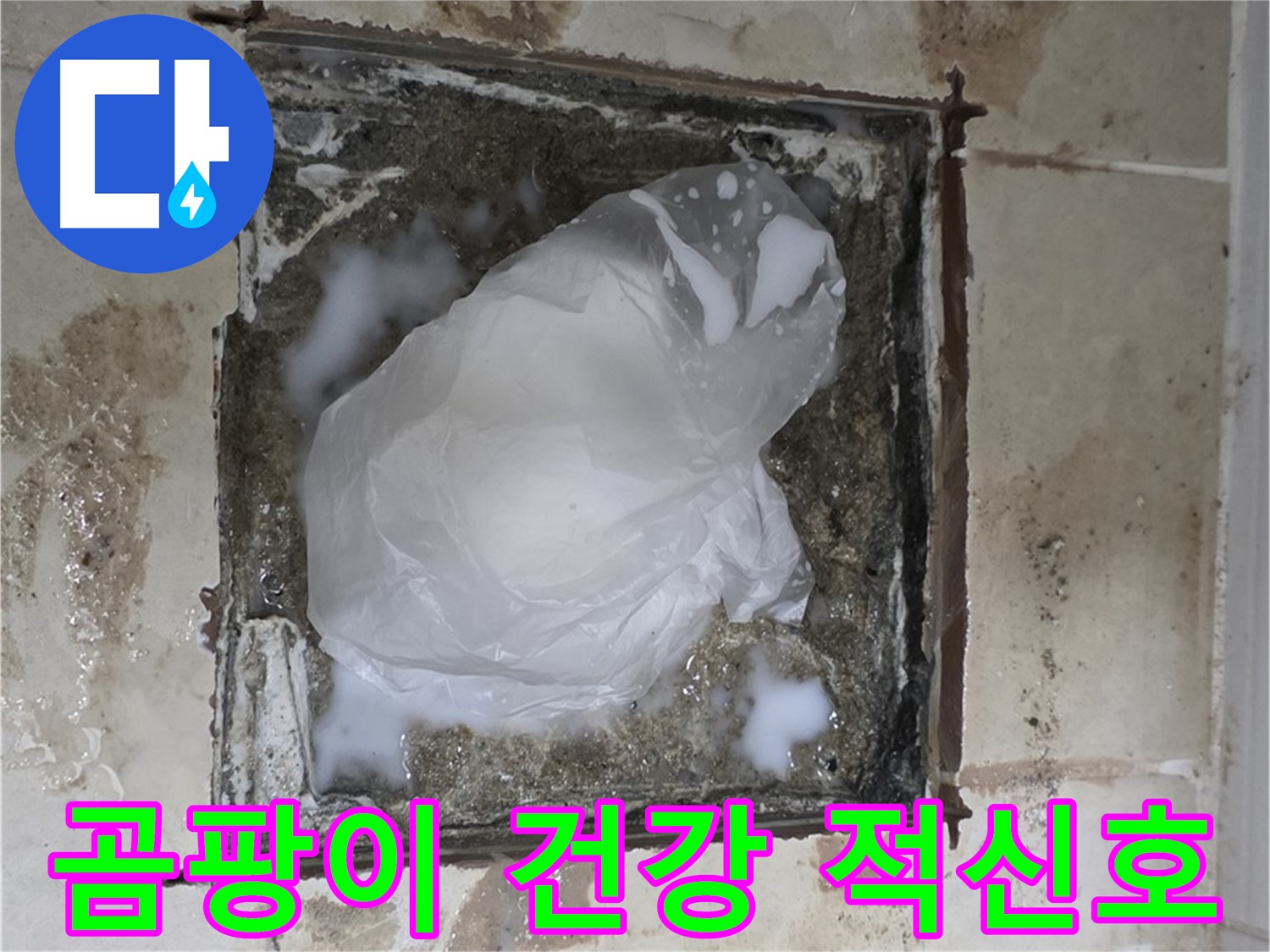 고양시 덕양구 욕실 바닥 누수 - 배수구 주변 곰팡이, 건강에 보내는 적신호