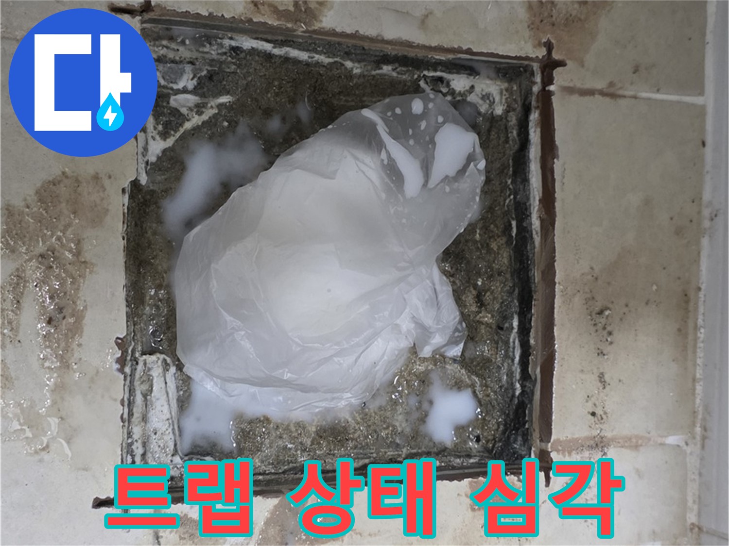 동산동 욕실 배수 트랩 누수 - 뜯어보니 상태가 심각한 배수 트랩