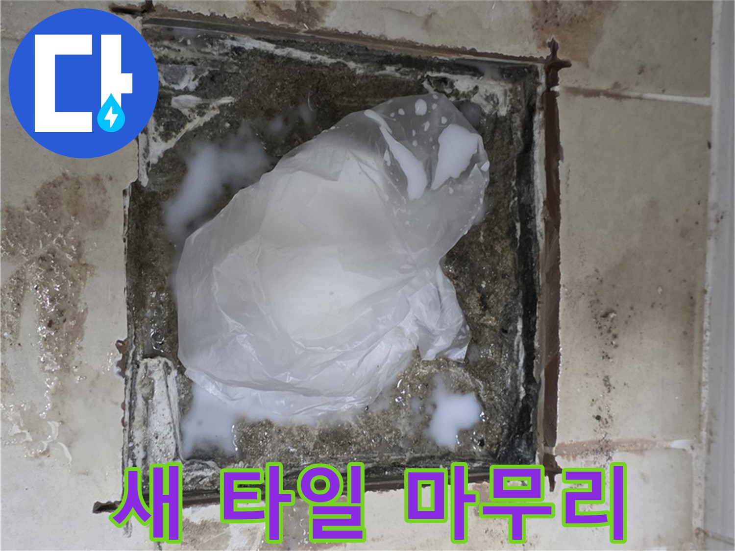 동산동 욕실 배수구 누수 - 새 타일로 깔끔하게 마무리된 욕실
