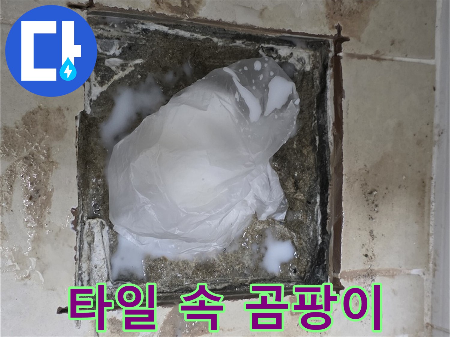 동산동 욕실 배수구 누수 - 타일 속에 숨겨진 물, 곰팡이의 따뜻한 보금자리