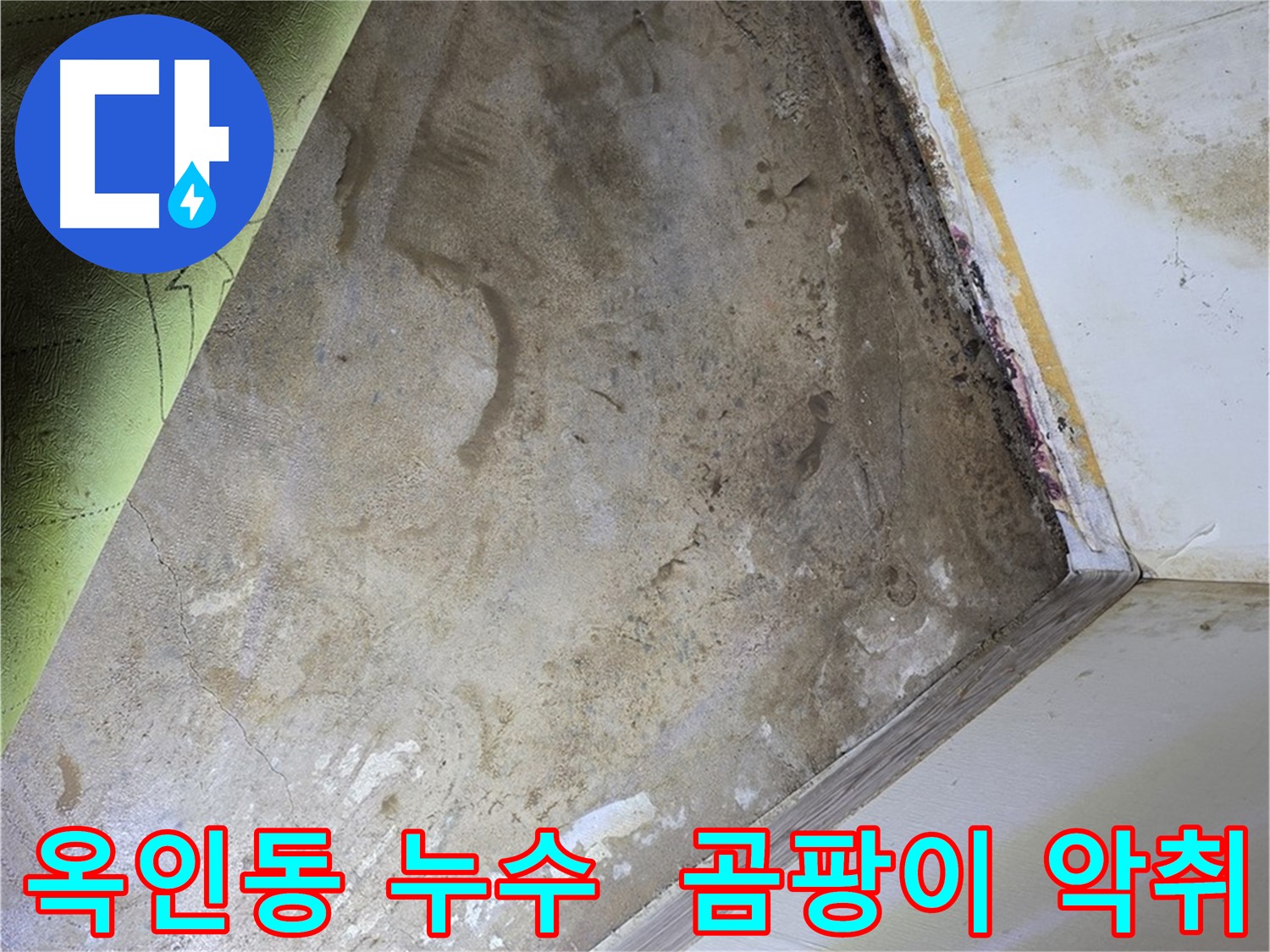옥인동 누수 - 심각한 곰팡이 악취 발생