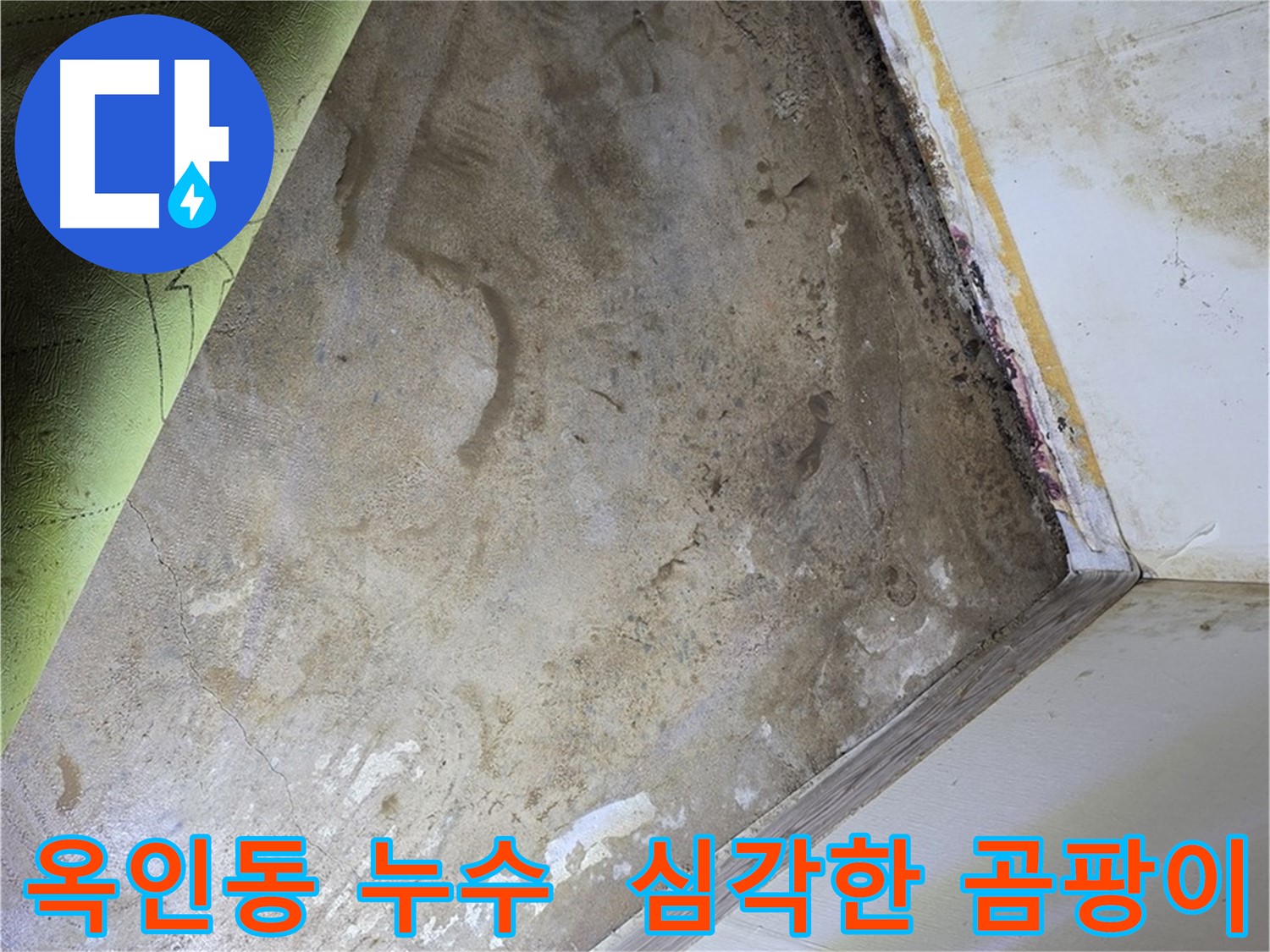옥인동 누수 - 장판 제거 후 심각한 곰팡이 발견