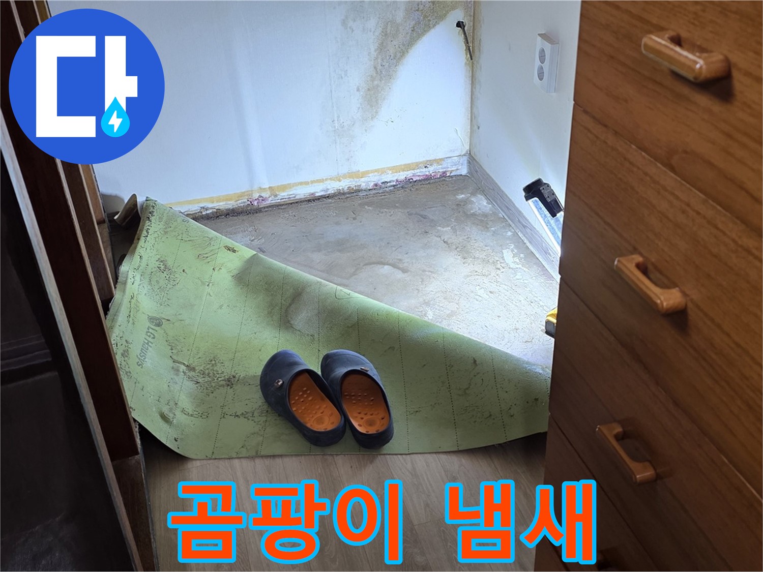 옥인동 주택 - 곰팡이 냄새 - 불쾌함