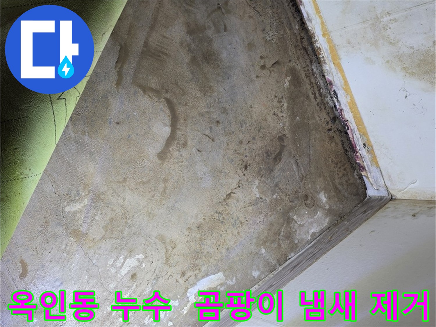 장판 밑 곰팡이 냄새 - 옥인동 냄새 제거 및 습기 관리