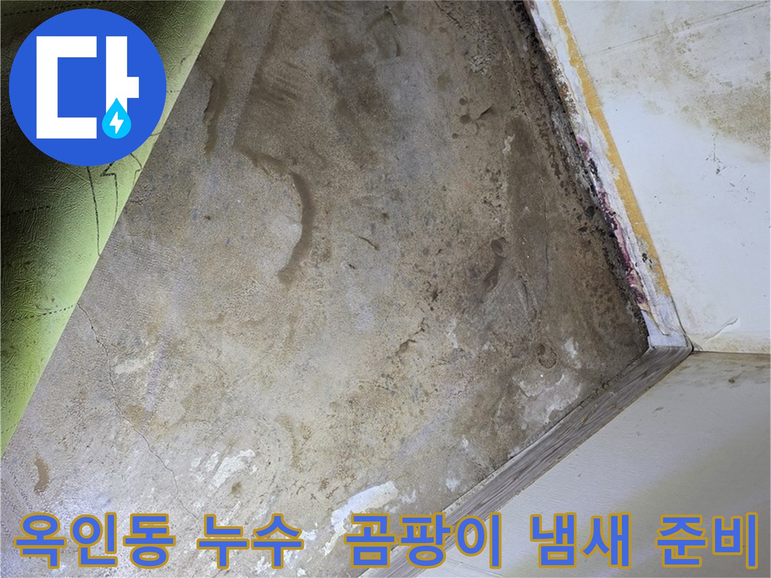 장판 밑 곰팡이 냄새 - 옥인동 냄새 제거 준비