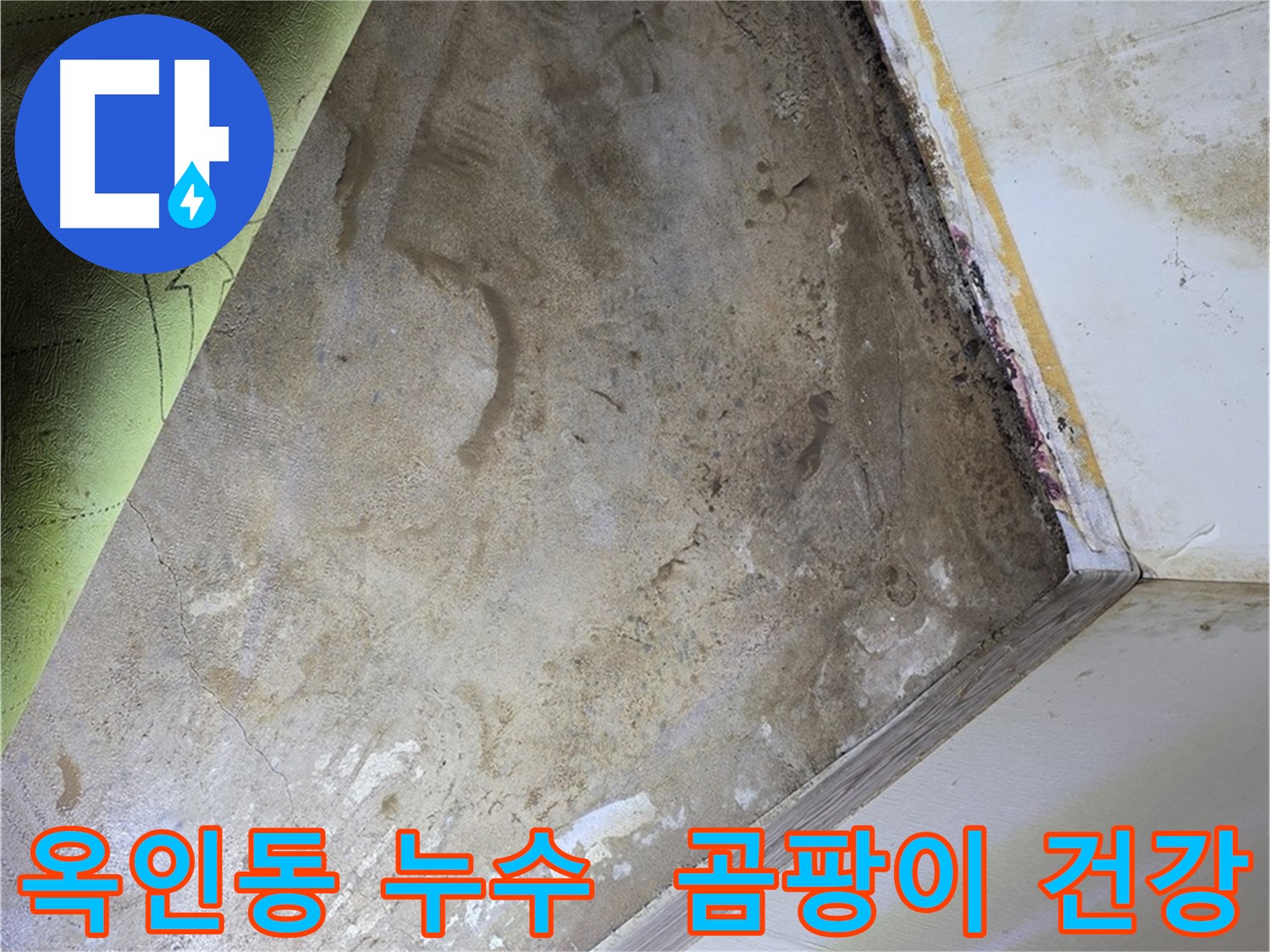 장판 밑 곰팡이 - 옥인동 곰팡이 제거 후 건강한 공간