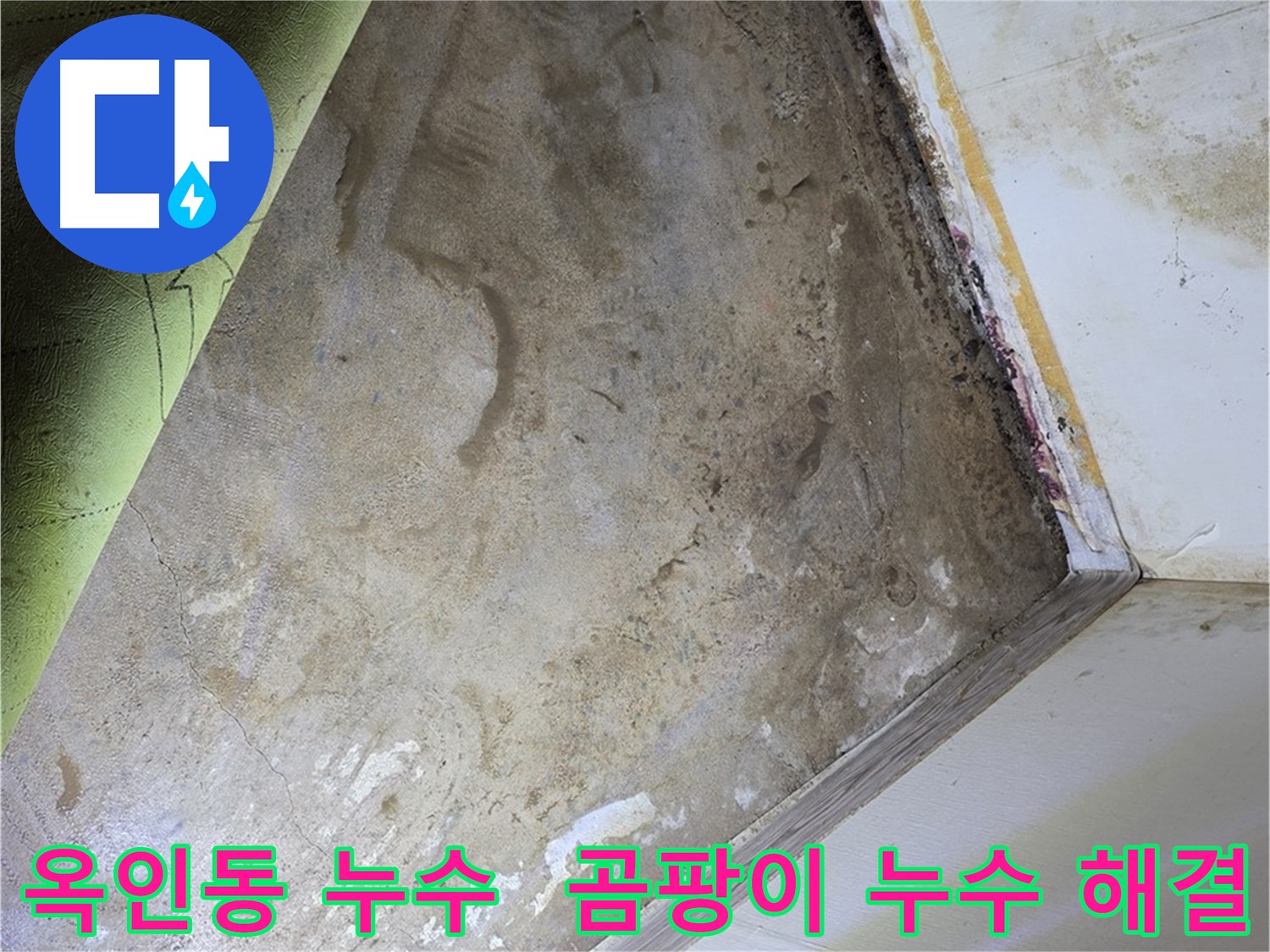 장판 밑 곰팡이 - 옥인동 누수 문제 함께 해결
