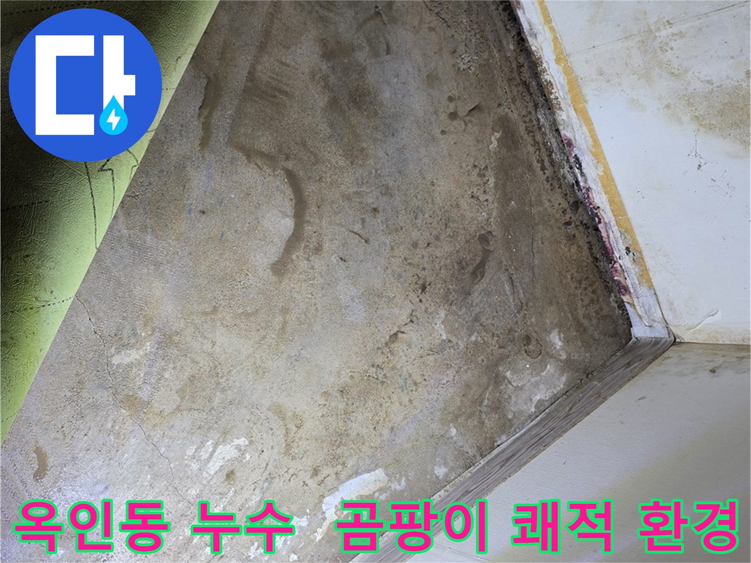 장판 밑 곰팡이 - 옥인동 쾌적한 실내 환경 선택