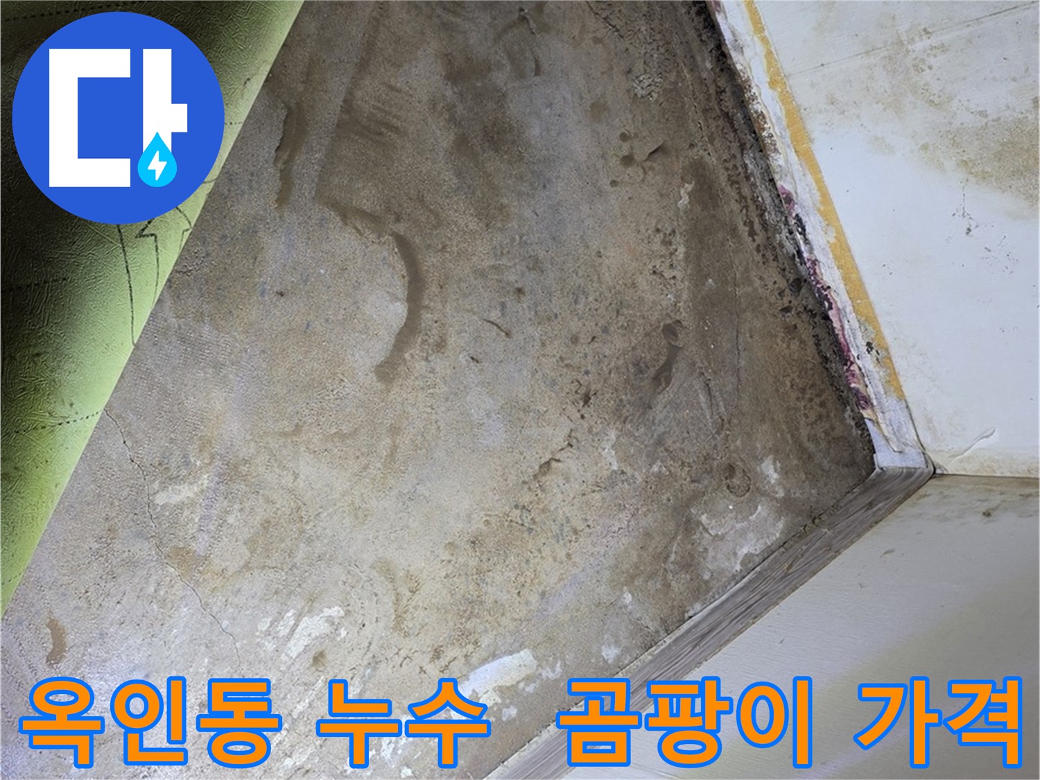 장판 밑 곰팡이 - 옥인동 합리적인 가격으로 고민 해결