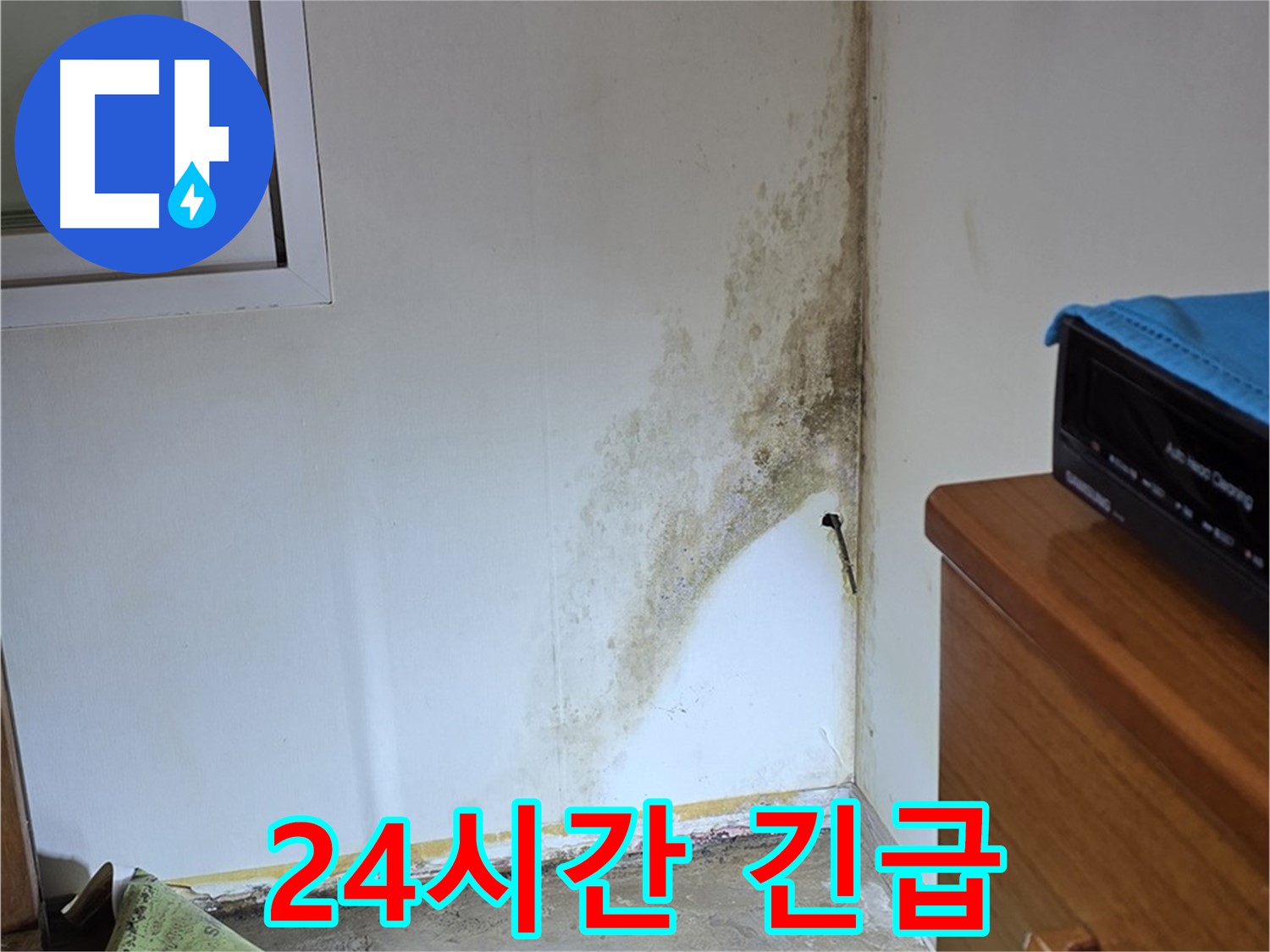 종로구 궁정동 누수 - 24시간 긴급 상황 발생 시 언제든지 신속하게 방문 - 곰팡이 문제 해결