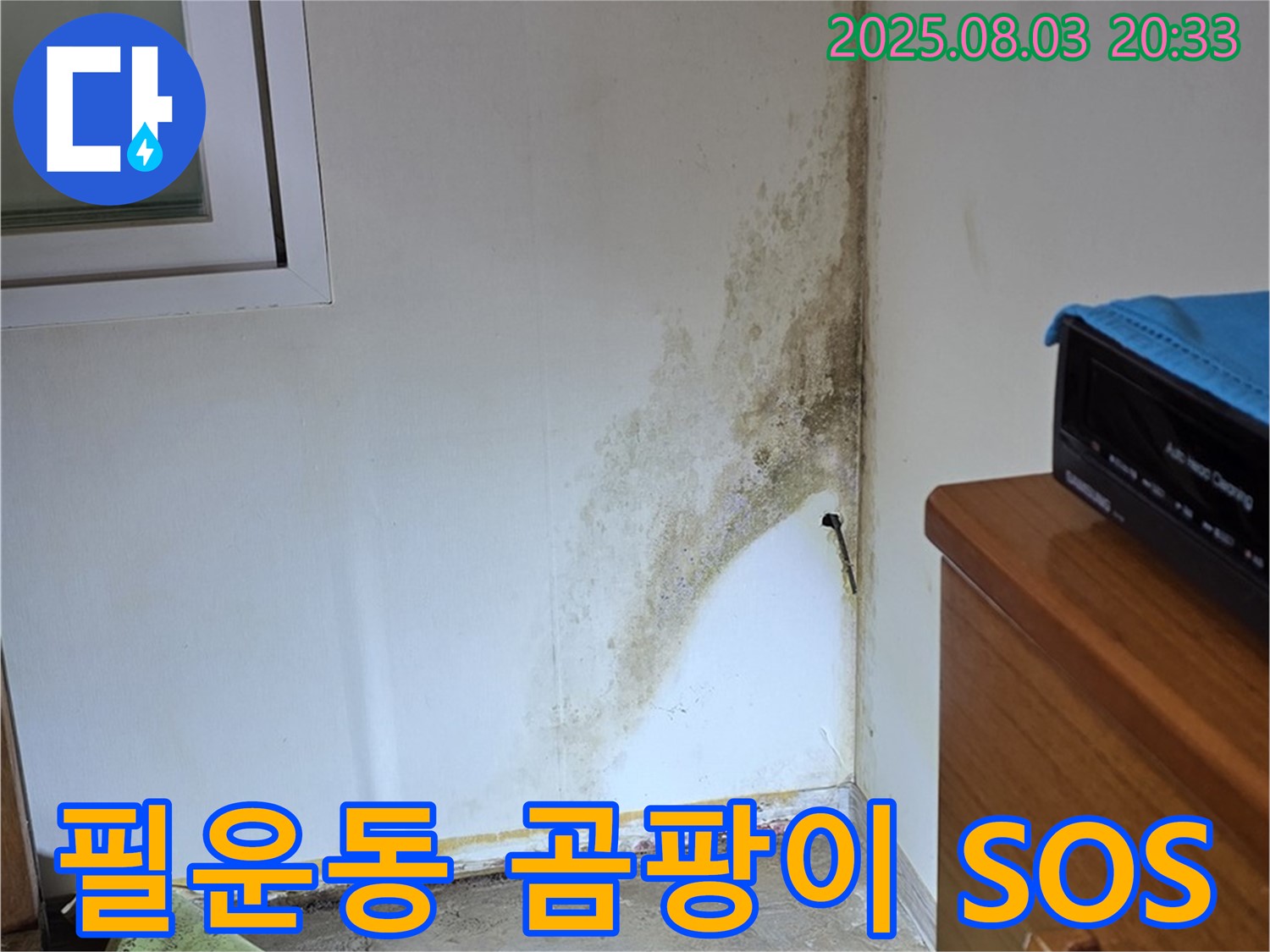 종로구 필운동 누수 - 곰팡이 문제, 전문적인 누수 탐지로 긴급 해결
