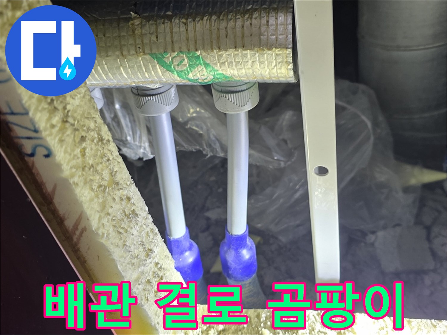 삼숭동 누수 예방 - 배관 주변 결로 발생 및 곰팡이 서식 가능성 사전 점검