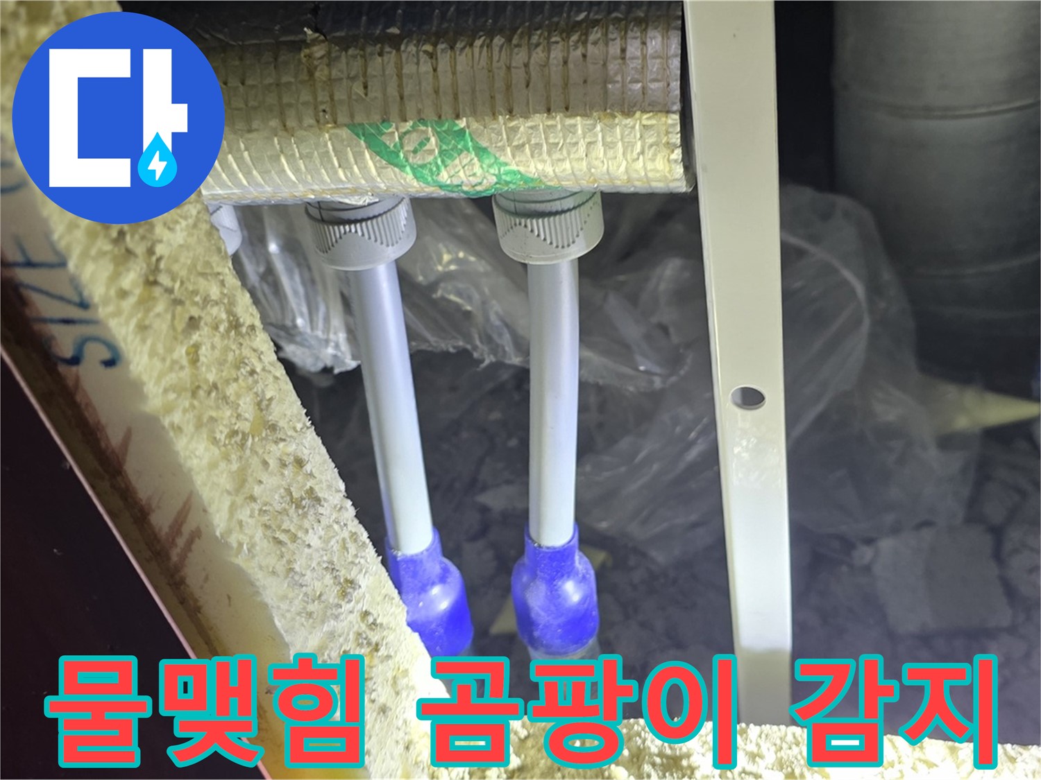 삼숭동 양주자이 누수 - 배관 연결 부속 주변 물맺힘 및 곰팡이 냄새 발생 여부 감지
