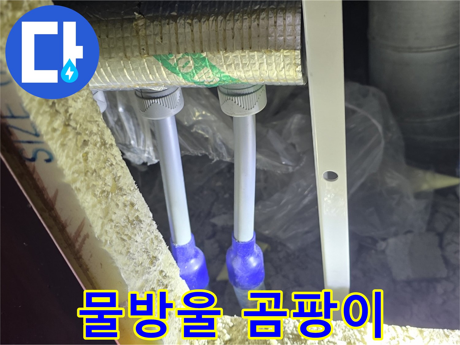 삼숭동 양주자이 누수 - 배관 연결 부속 주변 물방울 맺힘 및 곰팡이 발생 여부 검사