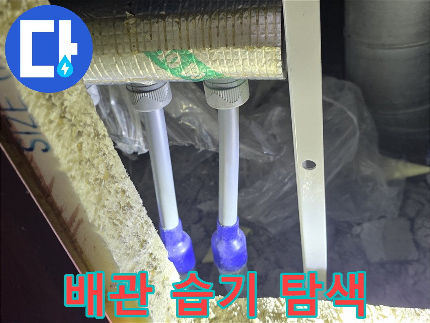 삼숭동 양주자이 아파트 누수 - 배관 연결 부속 주변 습기 및 누수 가능성 정밀 탐색