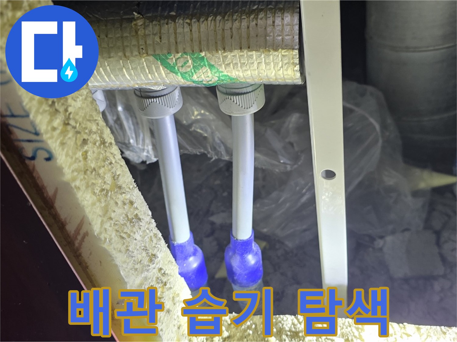 삼숭동 양주자이 아파트 누수 - 배관 연결 부속 주변 습기 및 누수 흔적 정밀 탐색