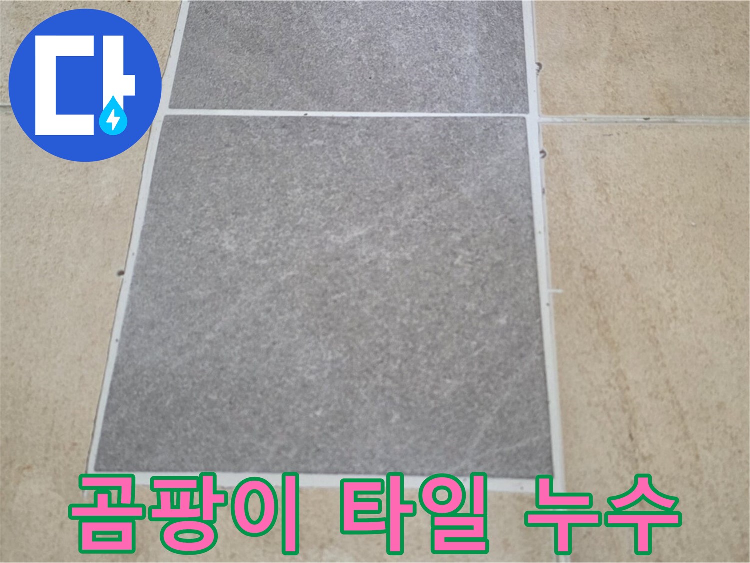 양주 삼숭동 아파트 - 곰팡이 발생과 타일 누수의 연관성을 확인하고 있습니다.