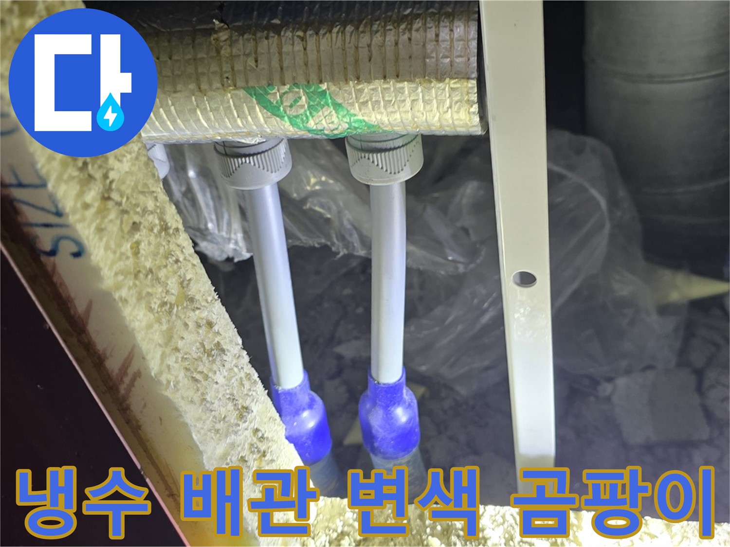 양주 삼숭동 아파트 누수 - 냉수 배관 연결 부위 주변 백시멘트 변색 및 곰팡이 발생 확인