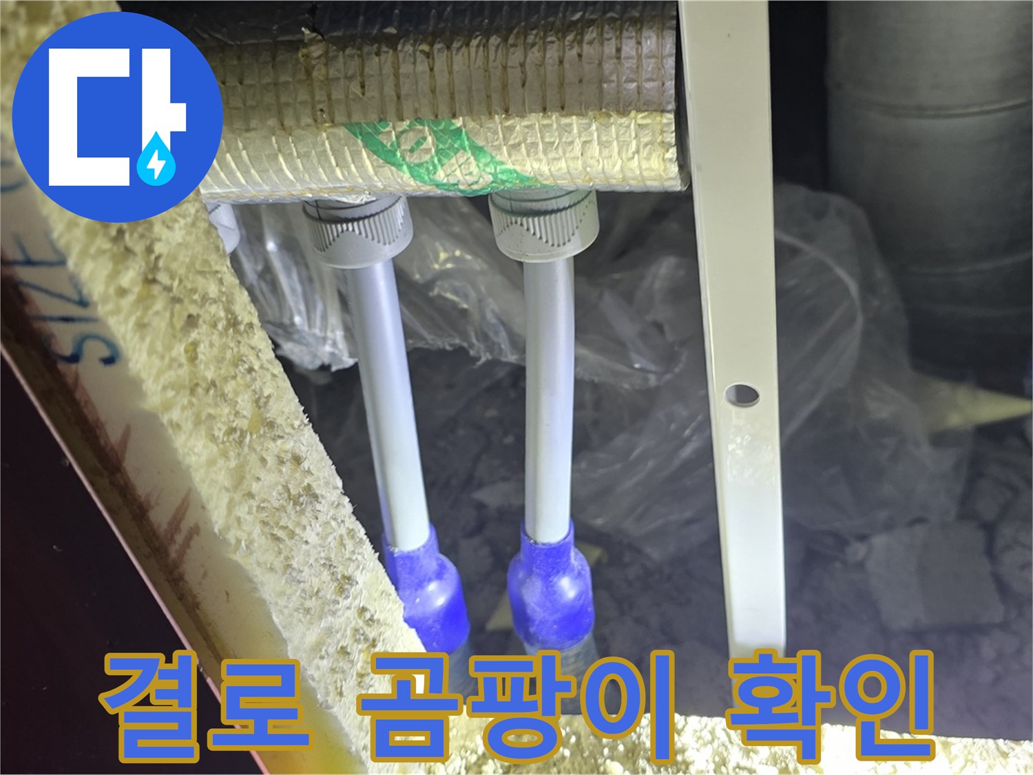 양주 삼숭동 아파트 누수 - 배관 연결 부속 주변 결로 및 곰팡이 발생 여부 집중 확인