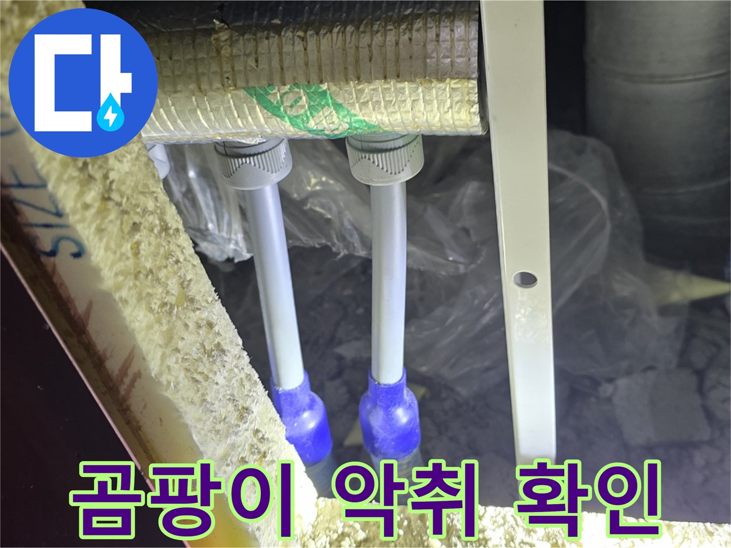 양주 삼숭동 아파트 누수 - 연결 부위 주변 곰팡이 발생 및 악취 확인