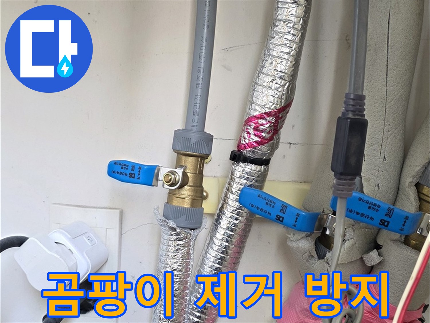 양주 삼숭동 자이아파트 - 곰팡이 제거 및 방지 - 쾌적한 환경을 위한 필수 작업