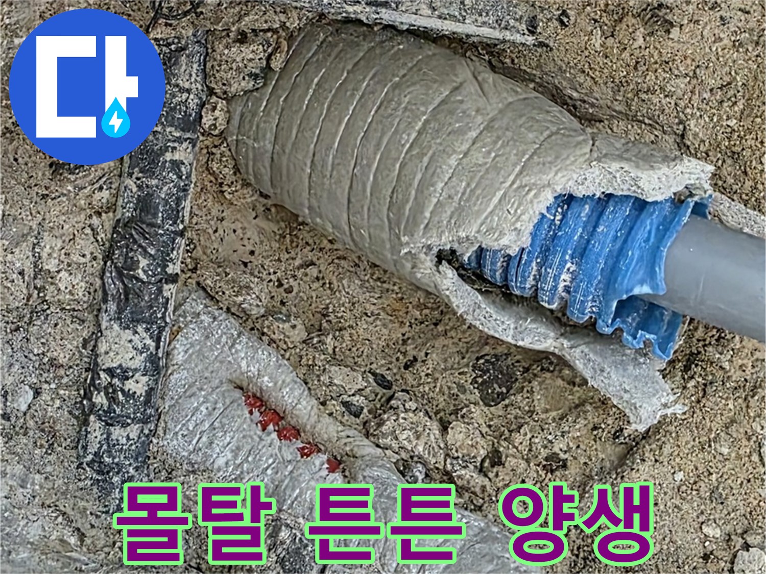 양주 삼숭동 자이아파트 누수 - 몰탈 시공 후, 꼼꼼한 양생으로 튼튼하게!