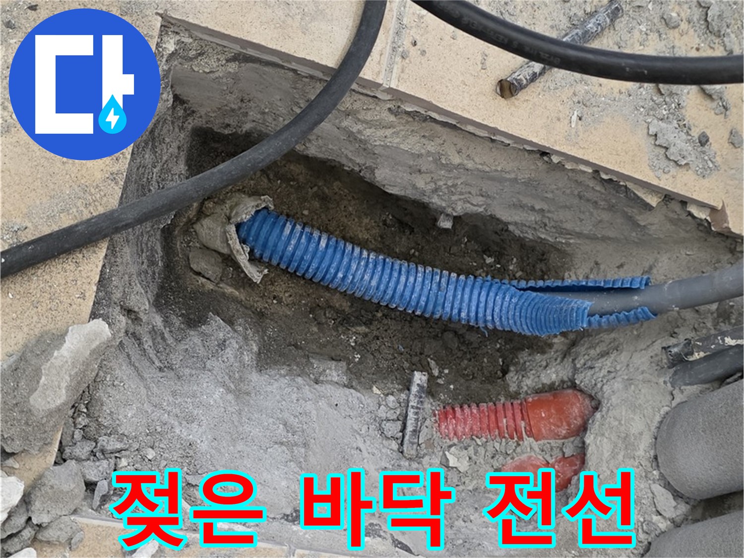 양주 삼숭동 자이아파트 누수 - 젖은 바닥과 꼬불거리는 파란 전선관