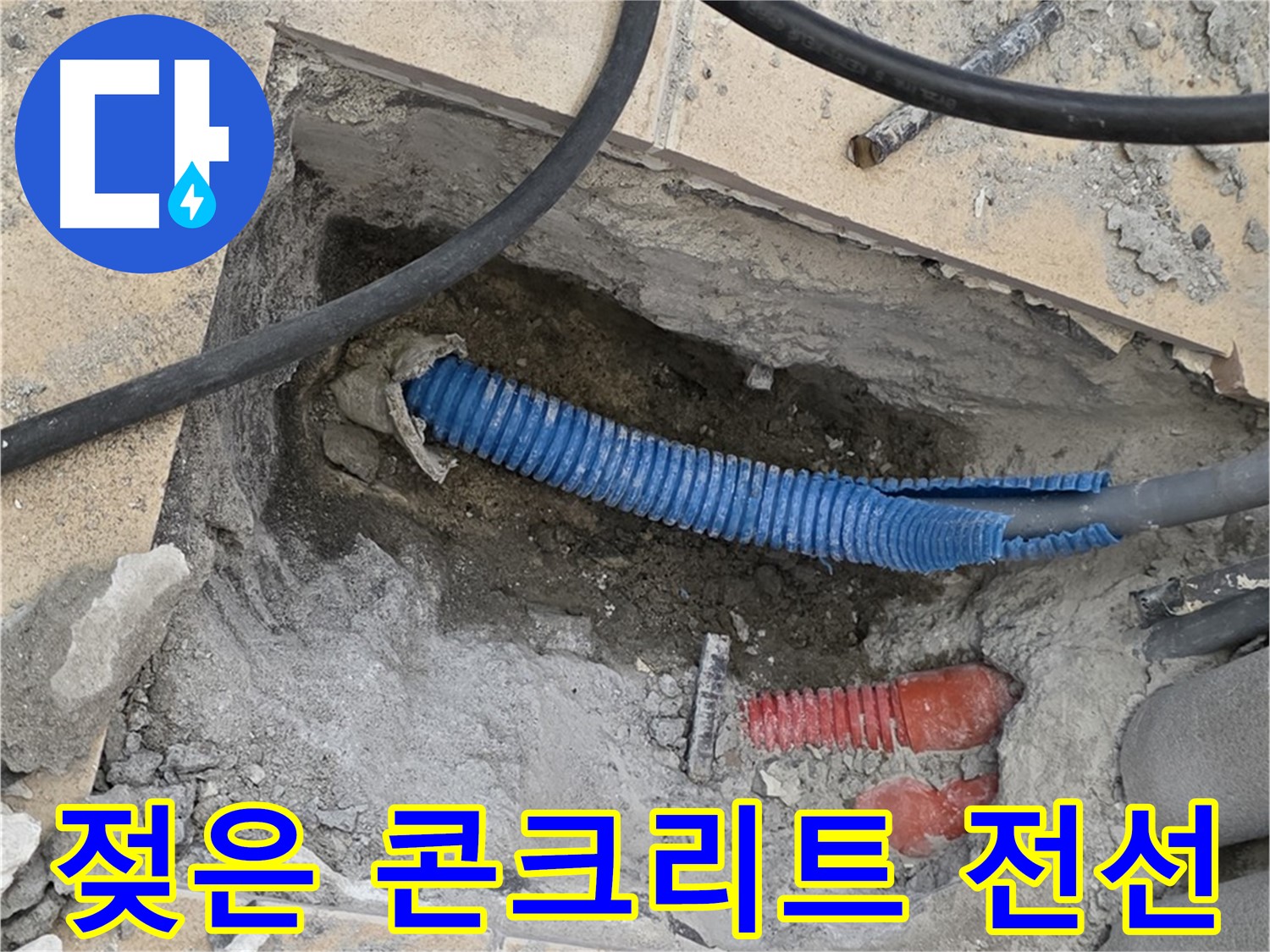 양주 삼숭동 자이아파트 누수 - 젖은 콘크리트와 꼬불거리는 파란 전선관