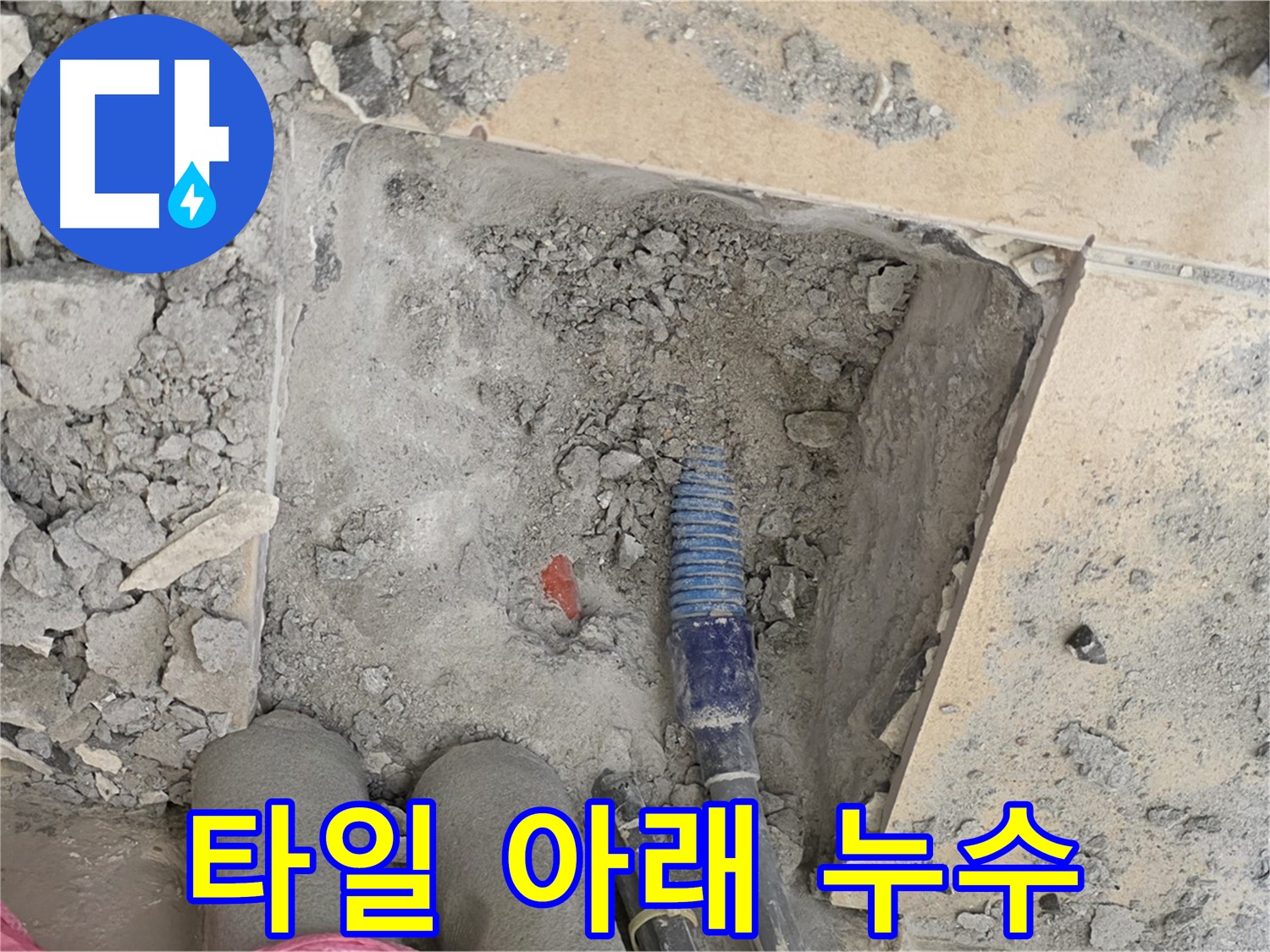 양주 삼숭동 자이아파트 누수 - 타일 아래 숨겨진 누수 지점 확인 및 탐지 과정