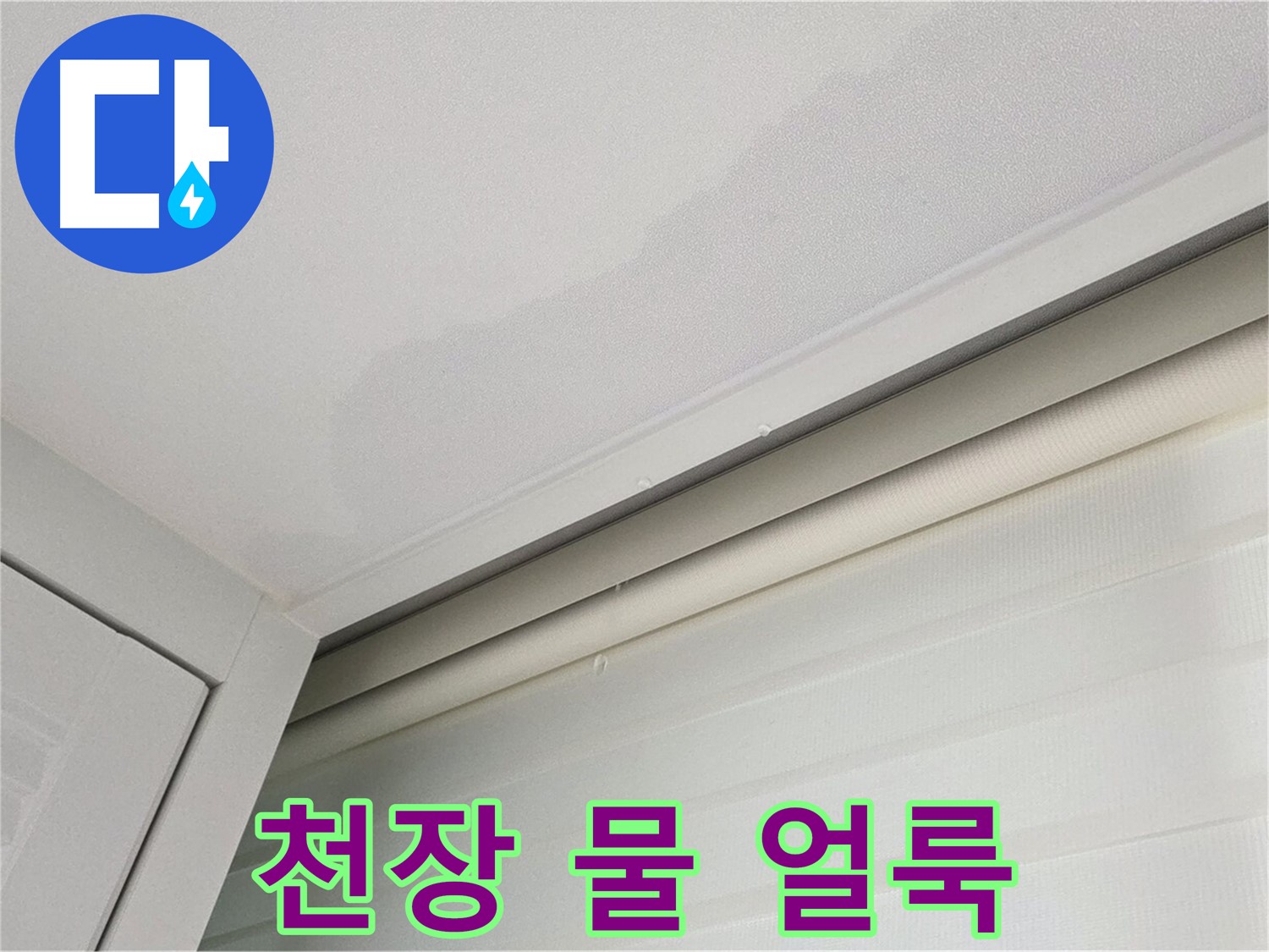 양주 삼숭동 자이아파트 천장 누수 - 물 얼룩으로 누수 의심