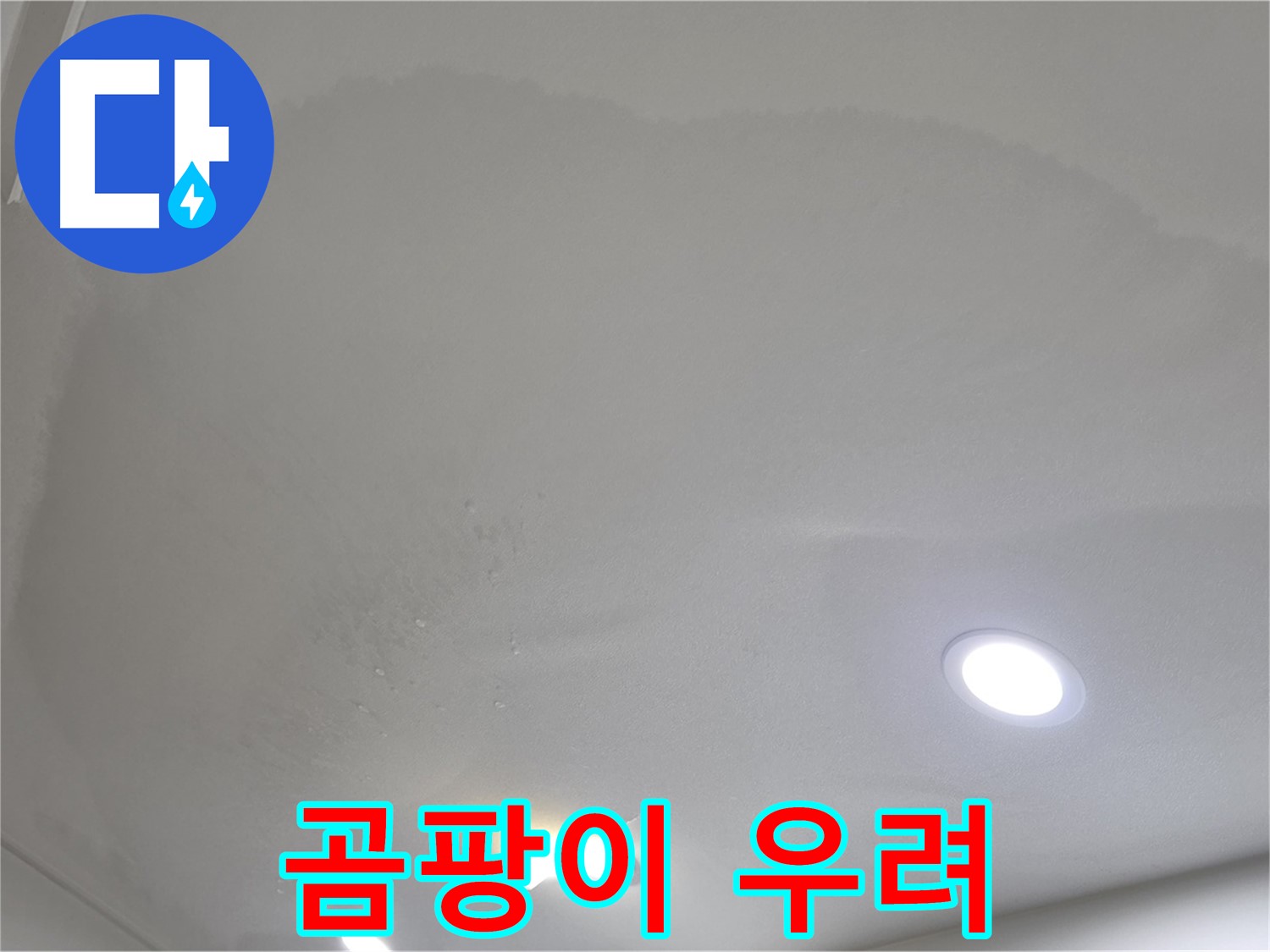 양주 아파트 누수 - 넓은 면적 오염, 곰팡이