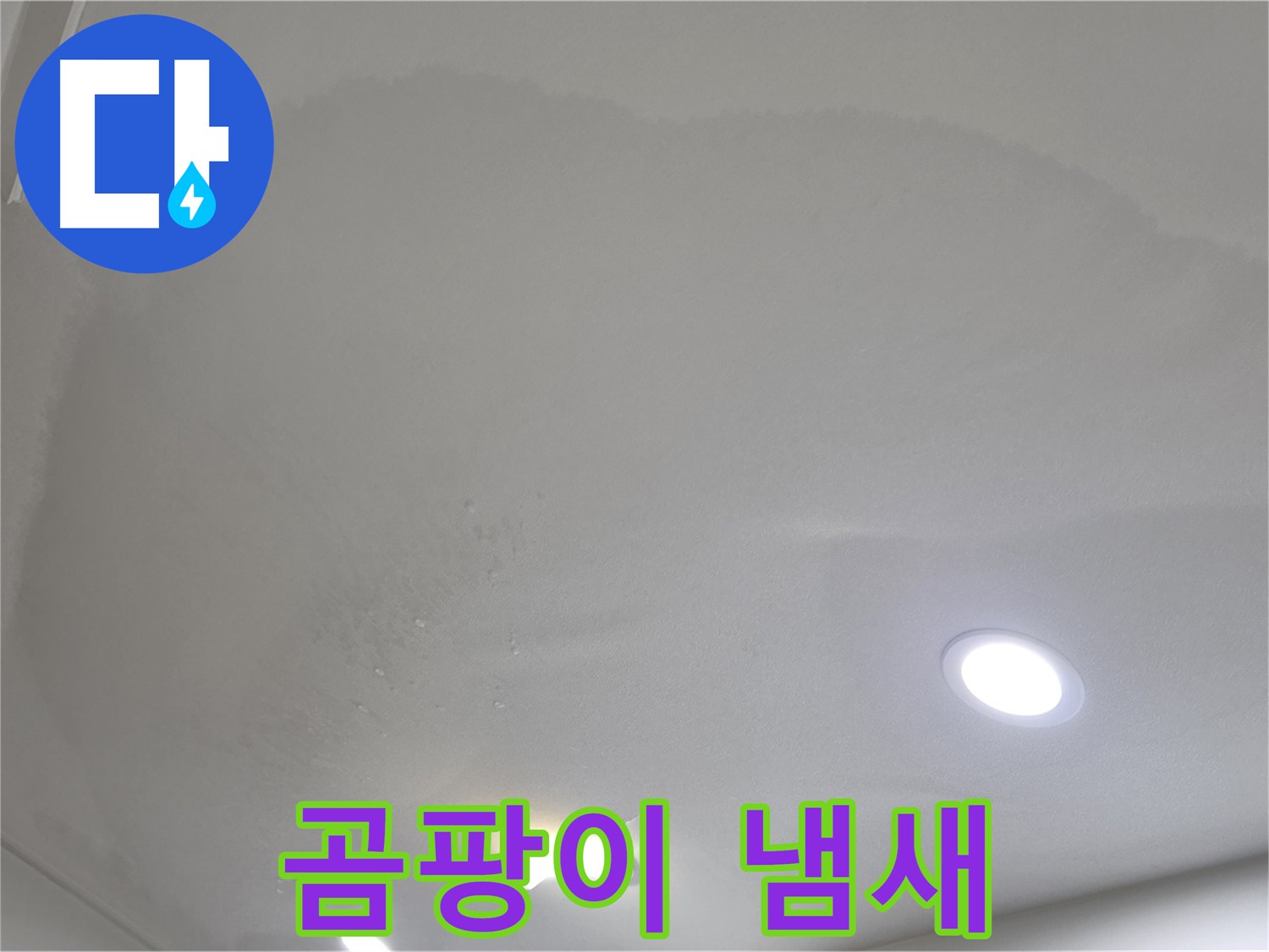 양주 아파트 누수 - 젖은 천장, 곰팡이 냄새