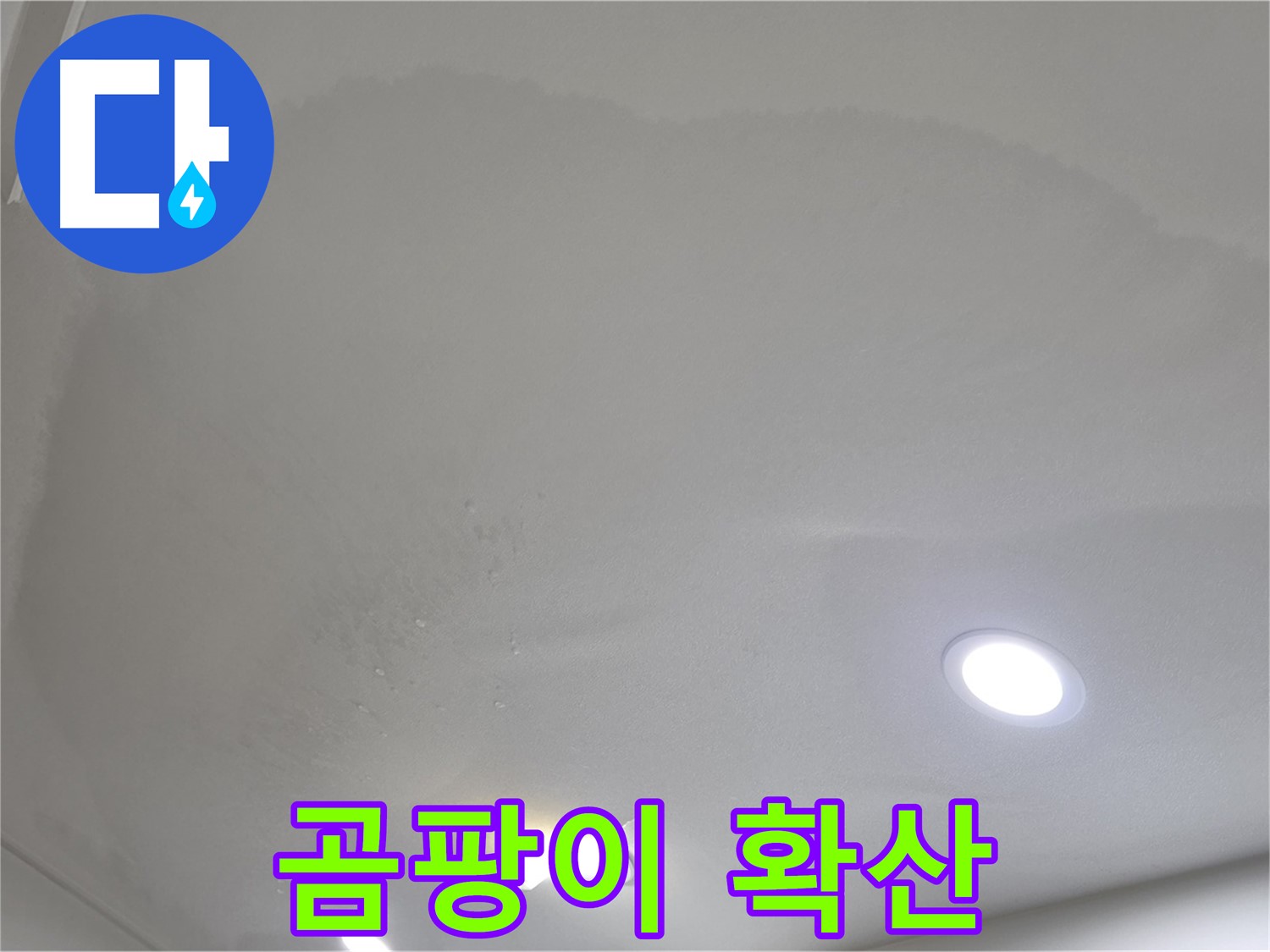 양주시 삼숭동 누수 - 둥근 얼룩 - 곰팡이