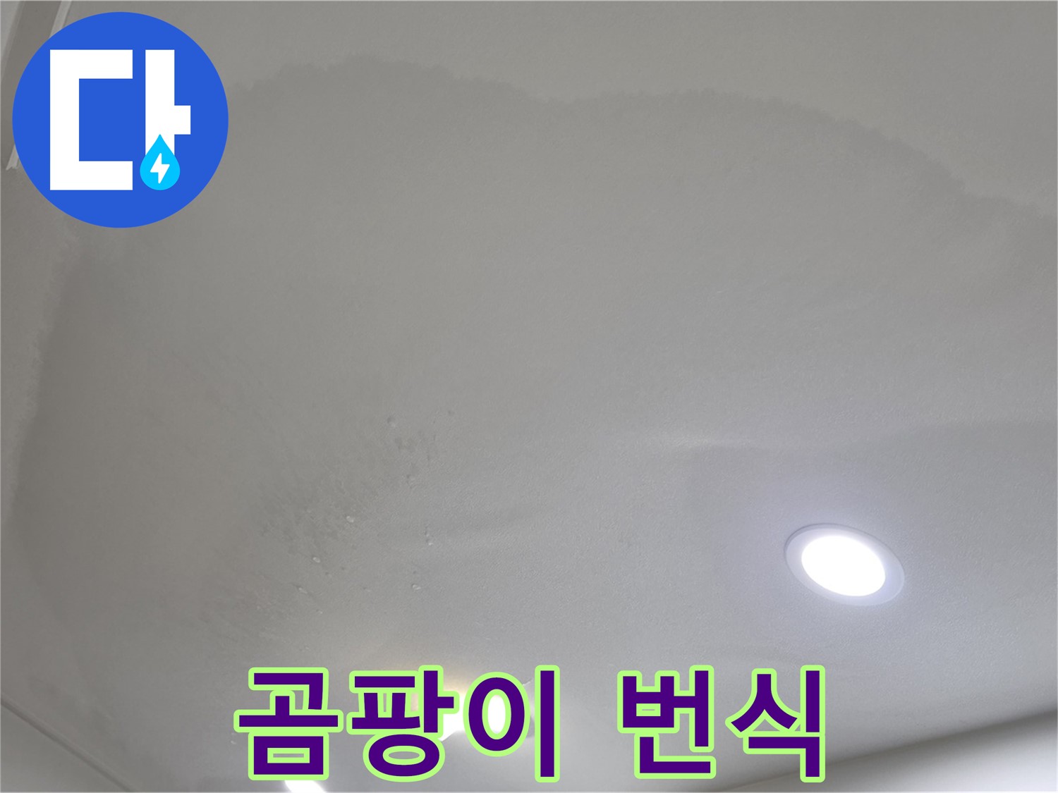 양주시 삼숭동 누수 - 얼룩 천장 - 곰팡이