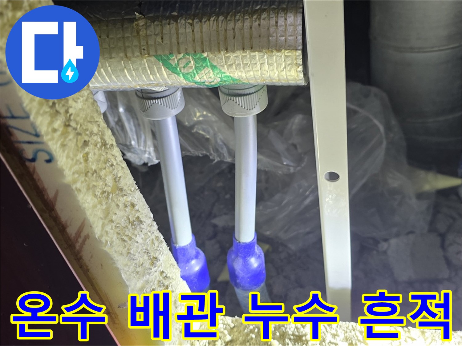 양주시 삼숭동 자이아파트 누수 - 온수 배관 연결 부위 주변 누수 흔적 면밀 조사