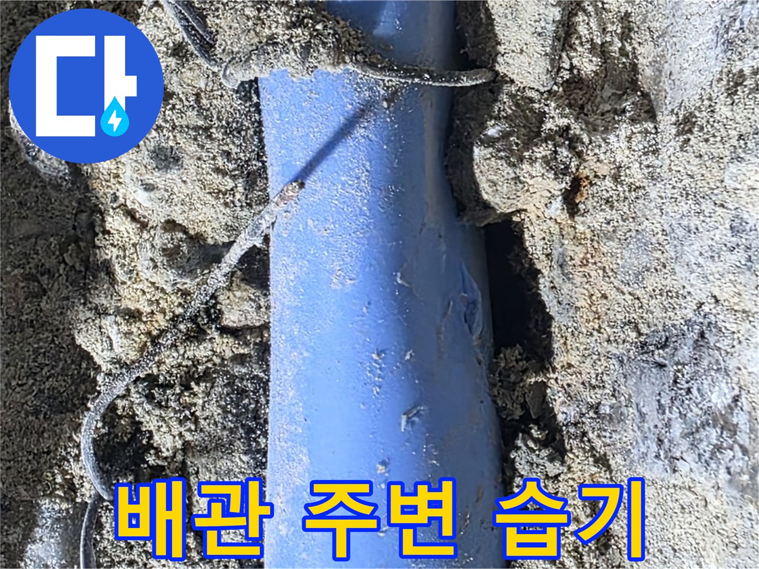 분당 쇳골로 누수 - 배관 주변에 습기가 차 있는 모습 - 누수의 확실한 증거입니다.