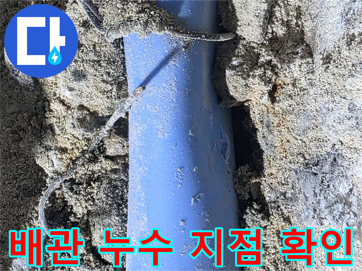 분당 쇳골로에서 발생한 배관 누수 - 누수탐지 전문가가 정확한 지점을 찾아 해결합니다.