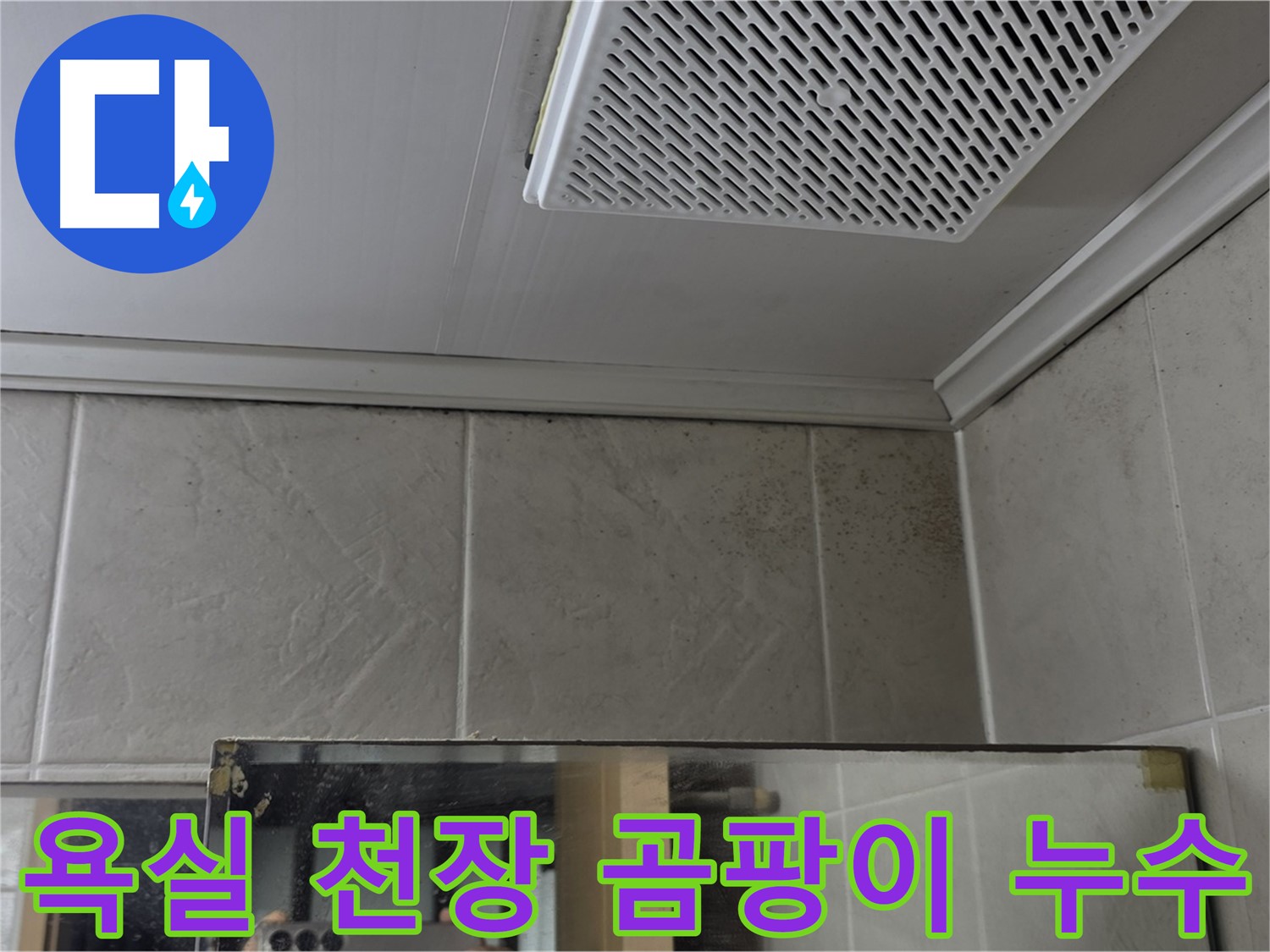 영등포구 당산동 아파트 욕실 천장 누수 - 곰팡이 발생 원인 탐지 및 해결 과정