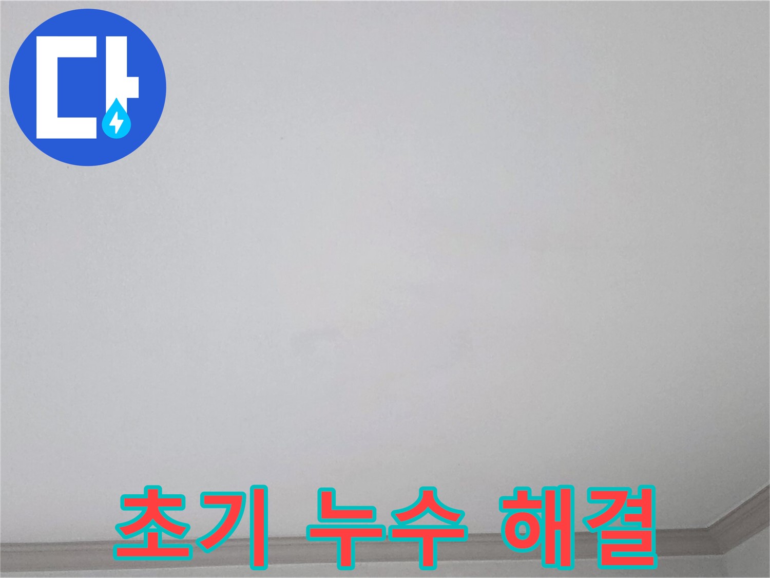 논현동 논현주공1단지 아파트 천장 - 초기 누수 문제 해결을 위한 전문가 조치