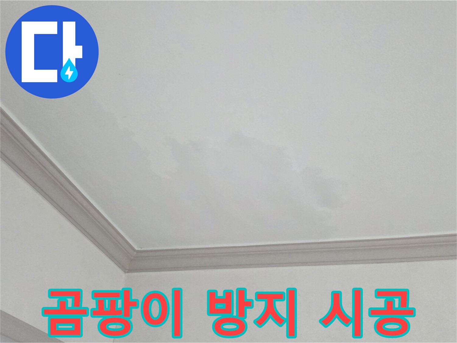 논현주공1단지 아파트 누수 - 곰팡이 제거 및 완벽 방지 시공