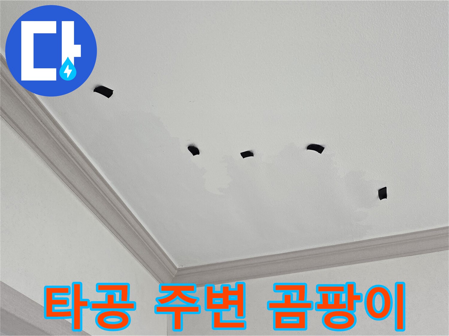 천장 타공 부위 주변 곰팡이 확인 - 오래된 누수?
