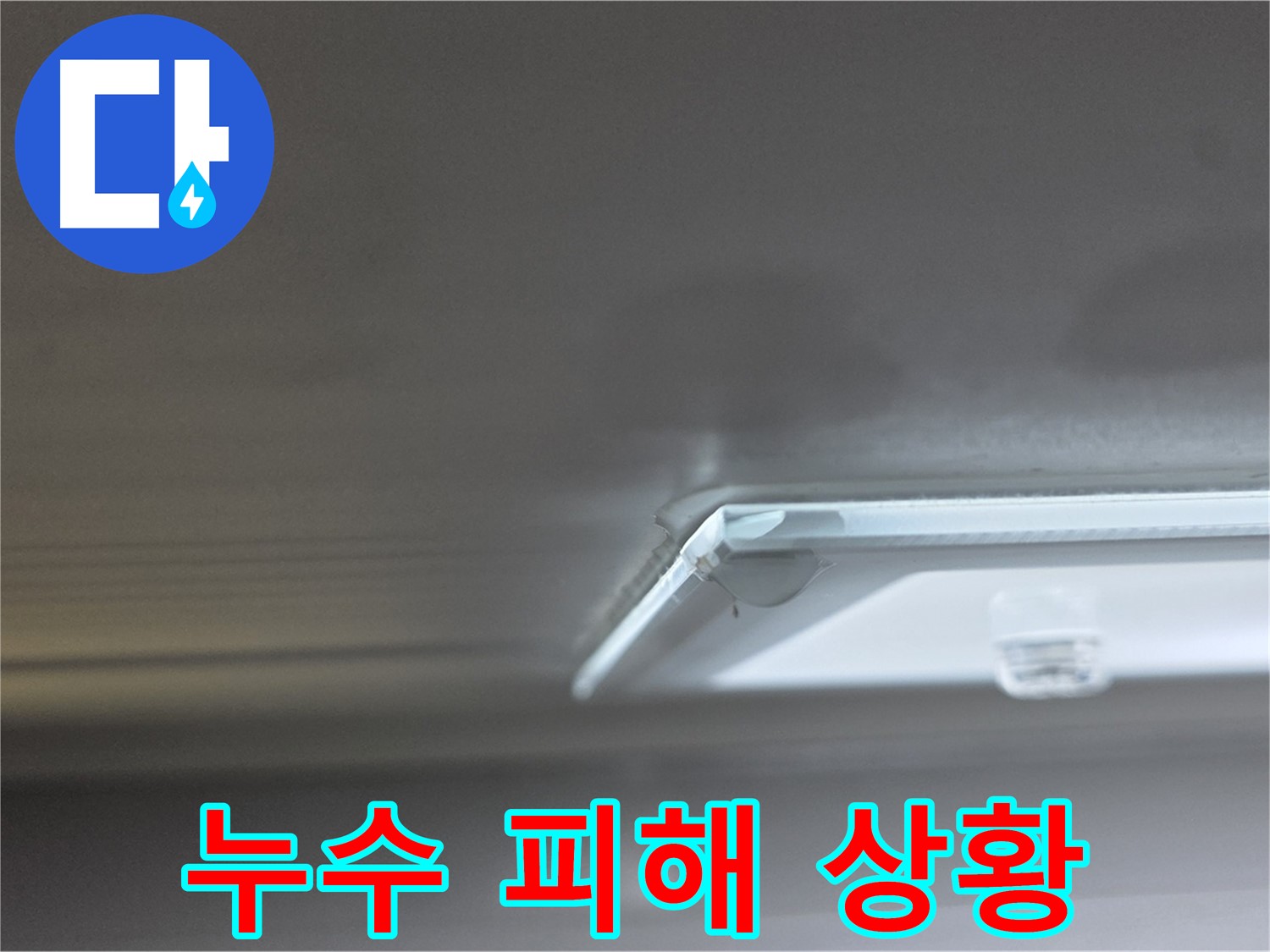 양주 옥정 13단지 율정마을 아파트 천장 누수 - 누수로 인한 피해 상황을 자세히 보여줍니다.